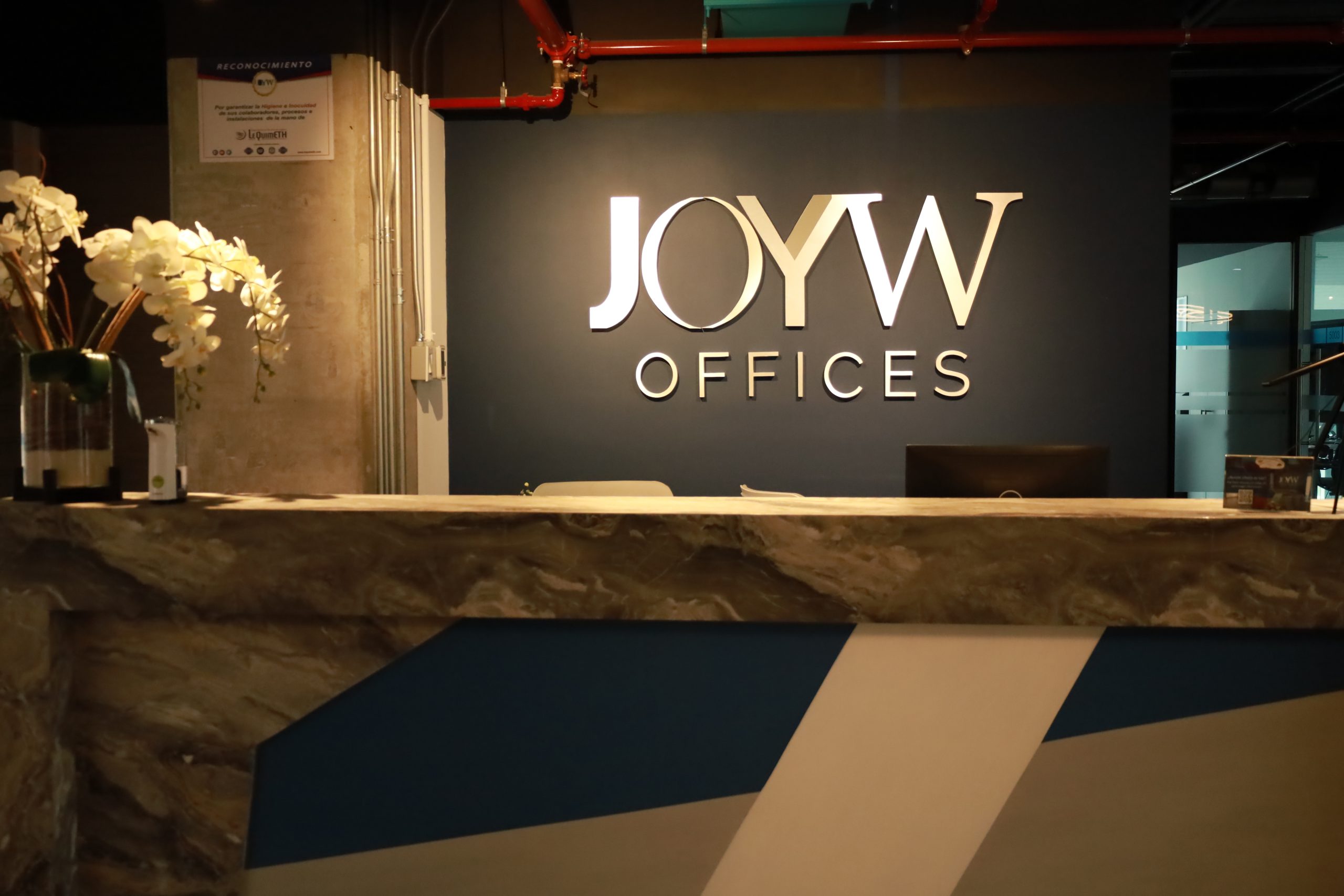 Emprender después de los 50: historias de éxito y consejos prácticos